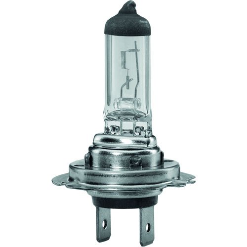 H7 Halogen Bulb 24V 70W