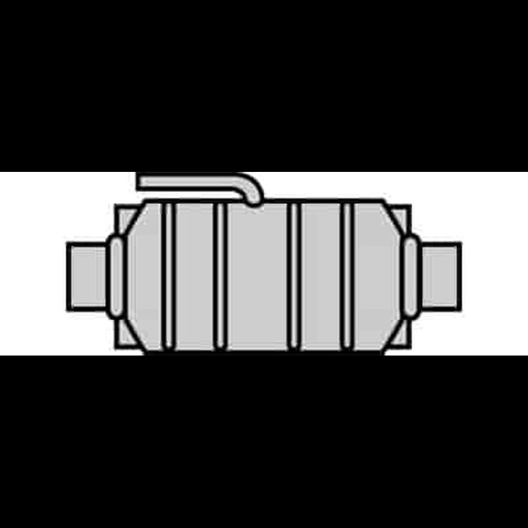 Standard Universal Catalytic Converter In/Out: 2"