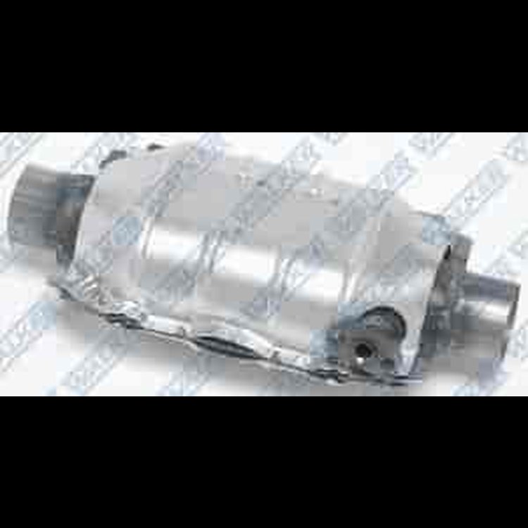 Standard Universal Catalytic Converter In/Out: 2"