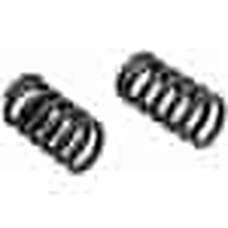 Exhaust SPRING