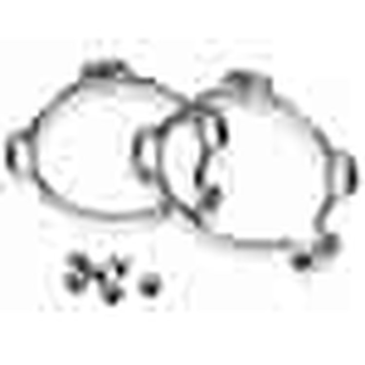 Exhaust " 5" " CLAMP KIT-CHROME PLA