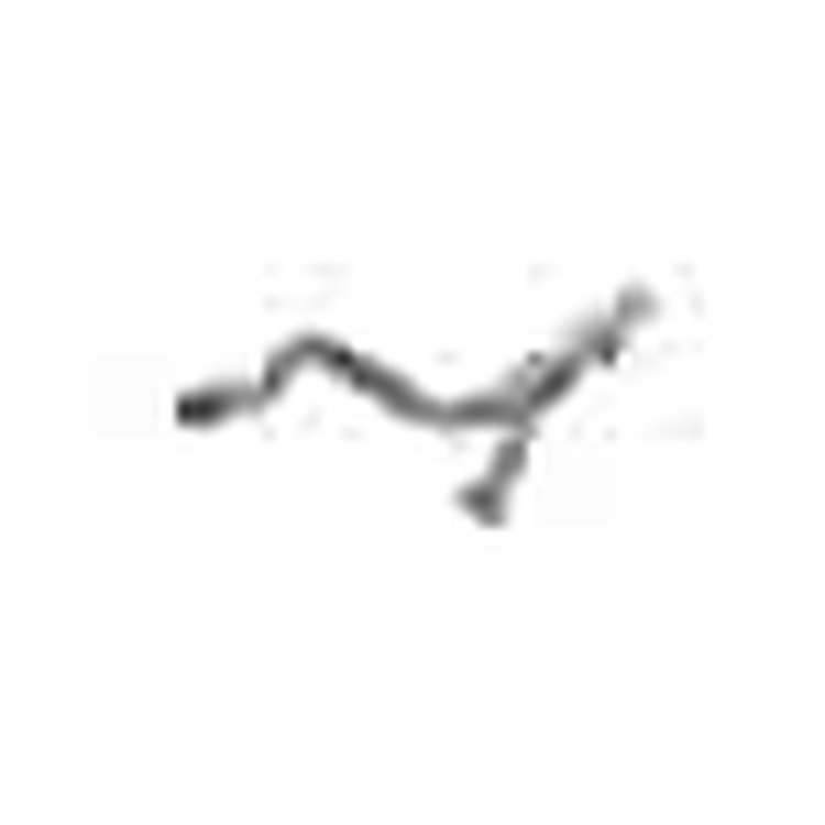 Exhaust EXHAUST Y-PIPE