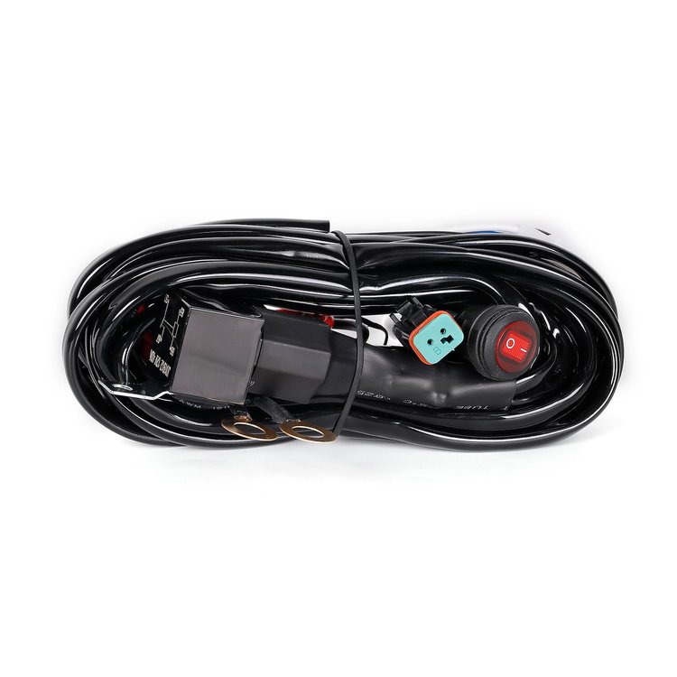 84001 Wiring Harness, 1 Outputs