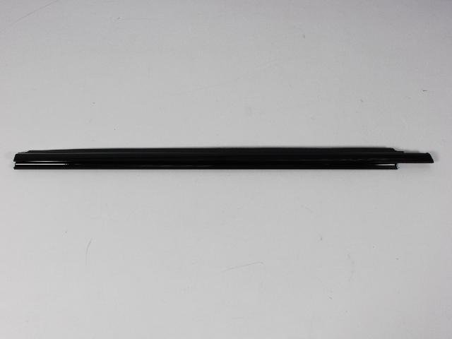 W/STRIP FRONT DOOR BELT