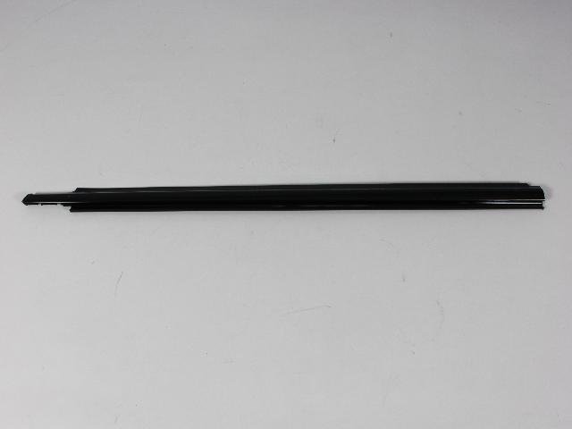 W/STRIP FRONT DOOR BELT