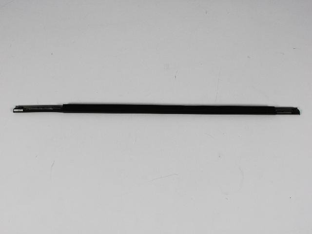W/STRIP REAR DOOR BELT