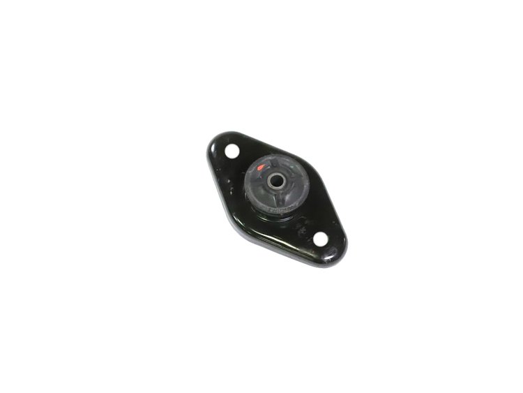 MOUNT STRUT