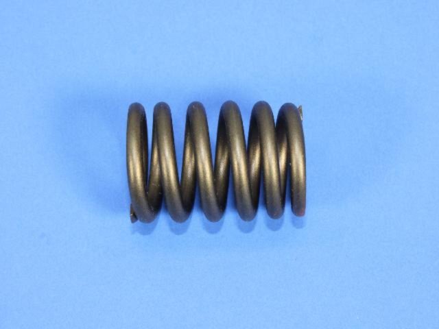 SPRING INTAKE VALVE