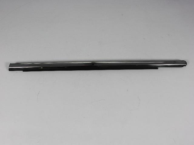 W/STRIP FRONT DOOR BELT