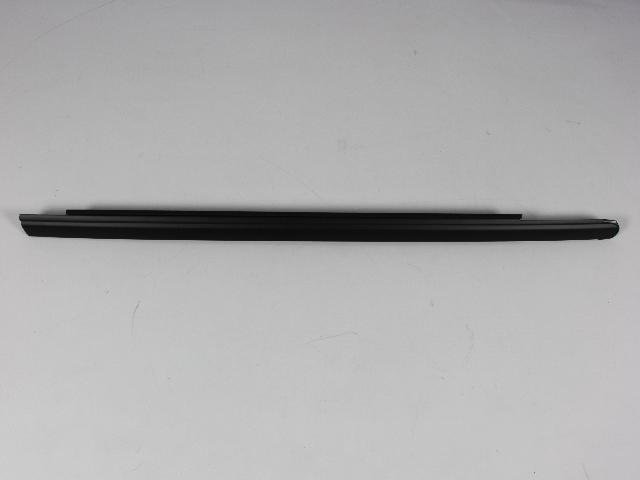 W/STRIP FRONT DOOR BELT