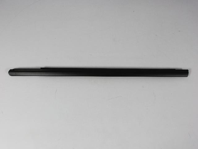 W/STRIP FRONT DOOR BELT