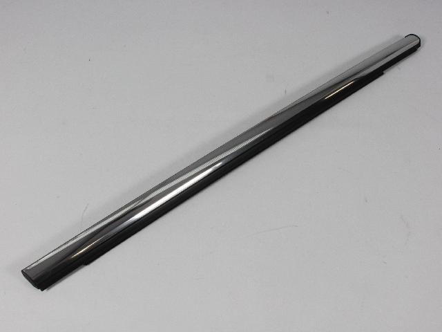 W/STRIP REAR DOOR BELT