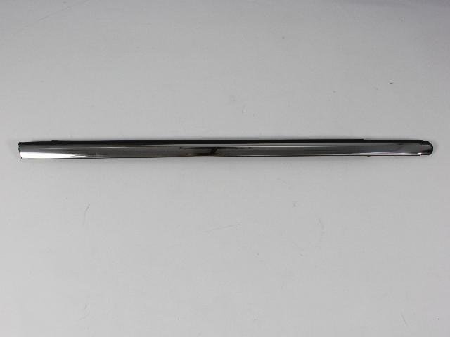 W/STRIP FRONT DOOR BELT