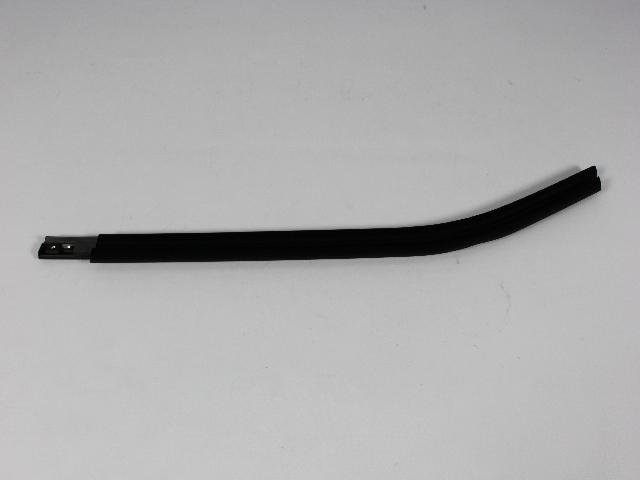 W/STRIP REAR DOOR BELT