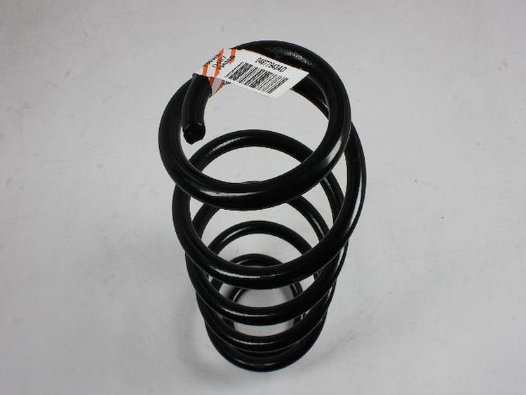 SPRING REAR COIL