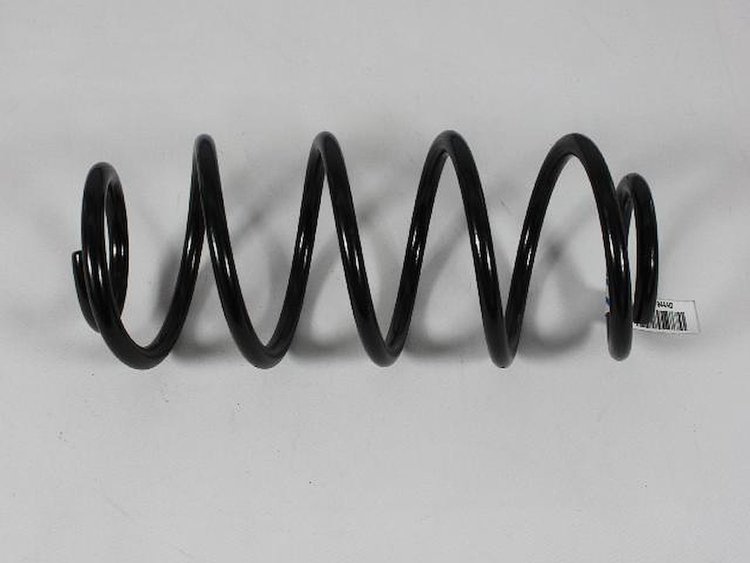 SPRING REAR COIL