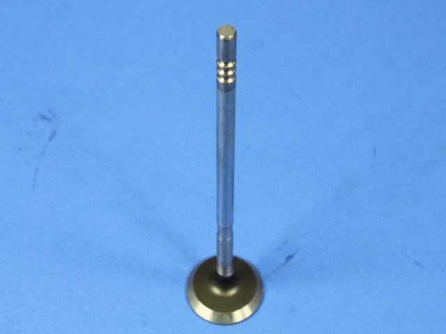 VALVE EXHAUST