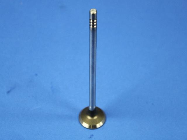 VALVE EXHAUST
