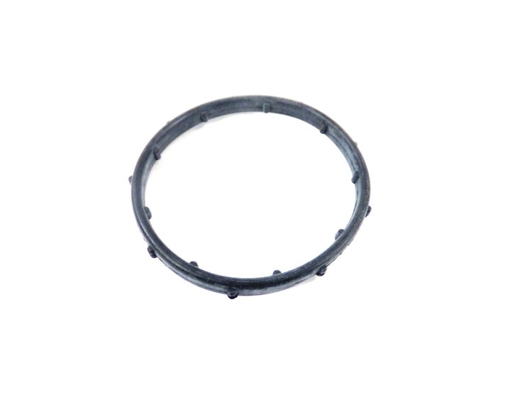 SEAL THERMOSTAT