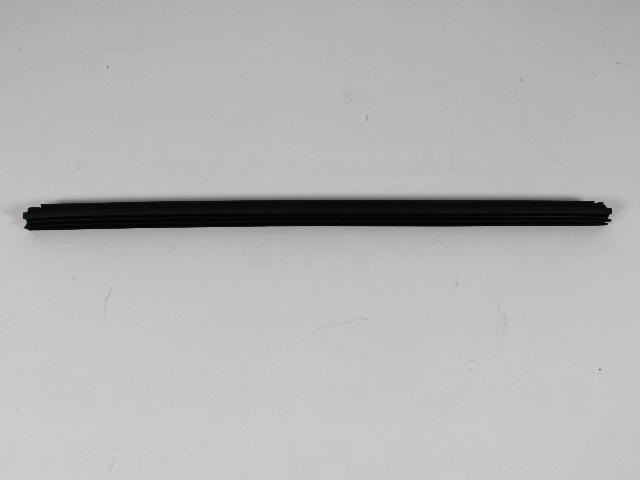 W/STRIP FRONT DOOR BELT