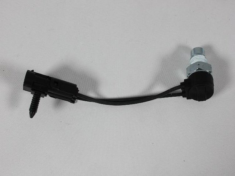 SWITCH BACK UP LAMP
