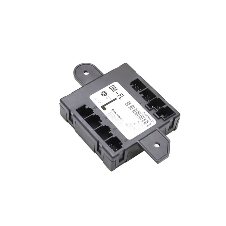 MODULE DOOR