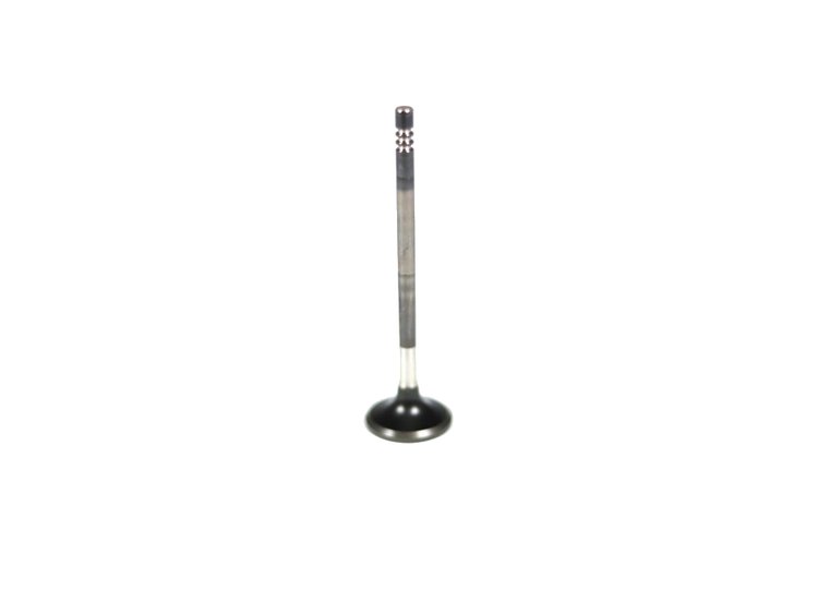 VALVE EXHAUST