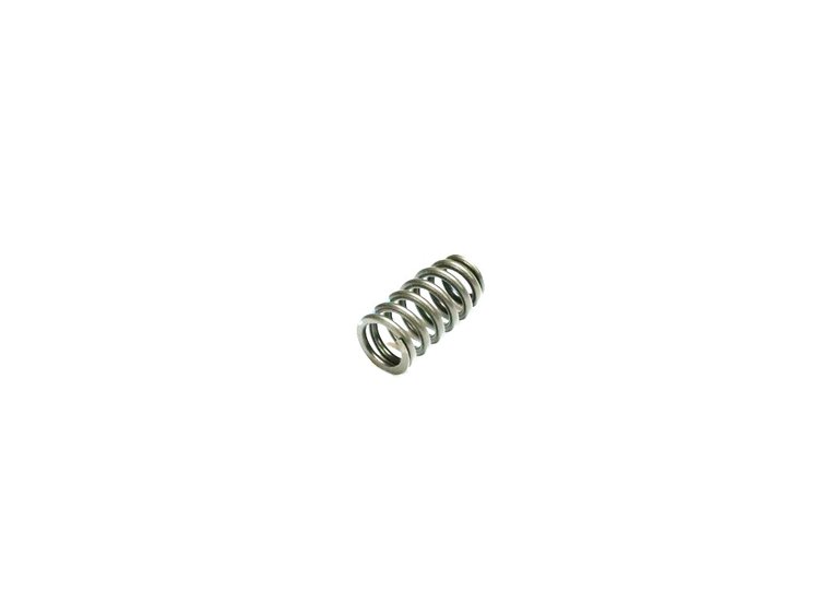 SPRING EXHAUST VALVE