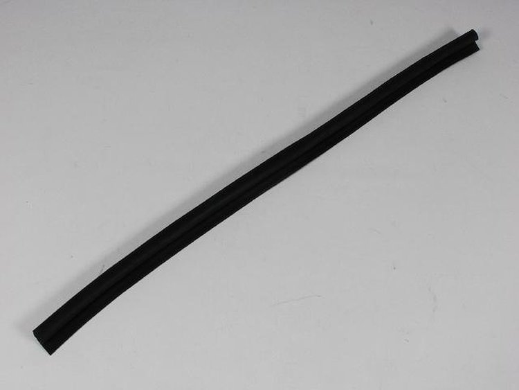 W/STRIP FRONT DOOR SILL