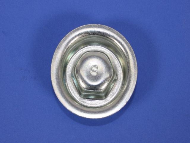 PLUG SCREW