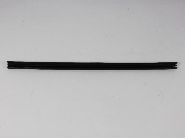 W/STRIP FRONT DOOR BELT
