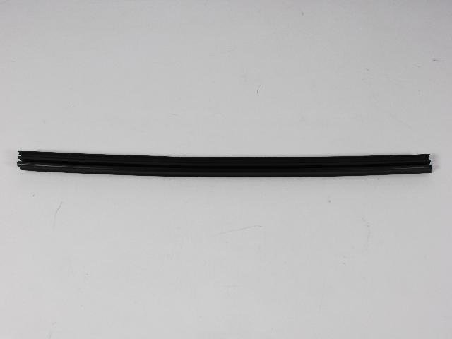 W/STRIP FRONT DOOR BELT
