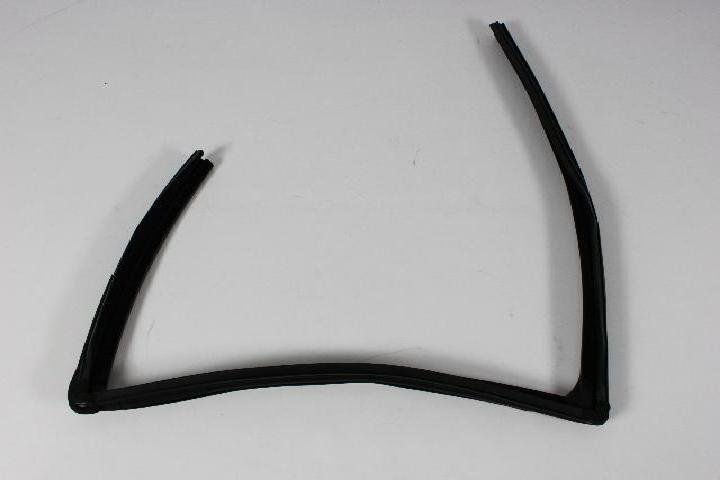 W/STRIP RR DOOR GLASS