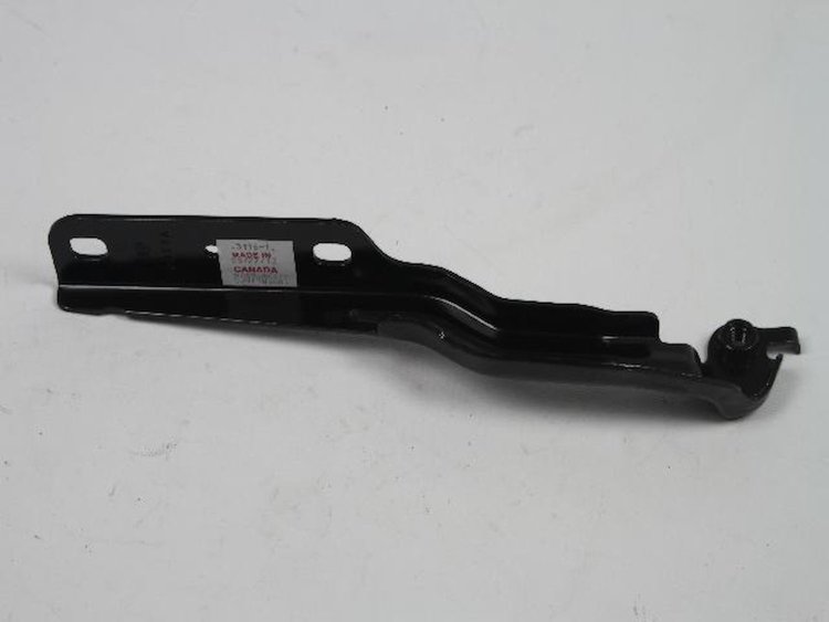 HINGE HOOD
