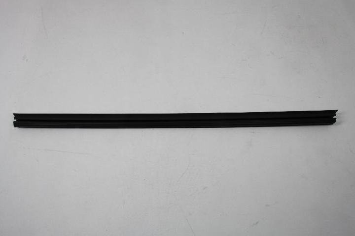 W/STRIP FRONT DOOR BELT