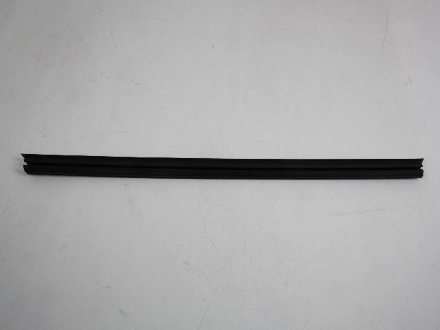 W/STRIP FRONT DOOR BELT