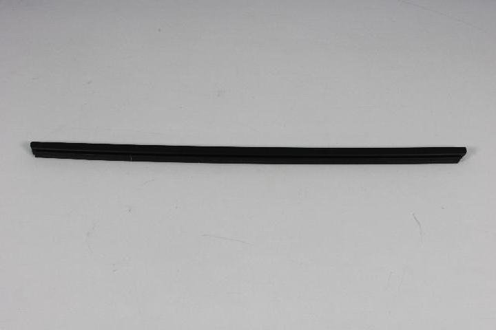 W/STRIP FRONT DOOR BELT