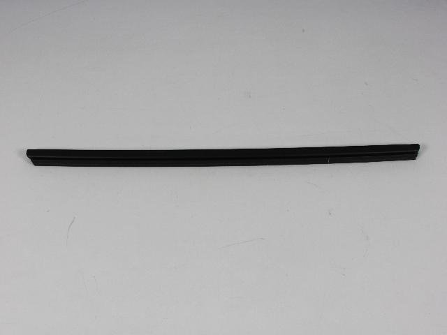 W/STRIP FRONT DOOR BELT