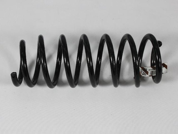 SPRING REAR COIL