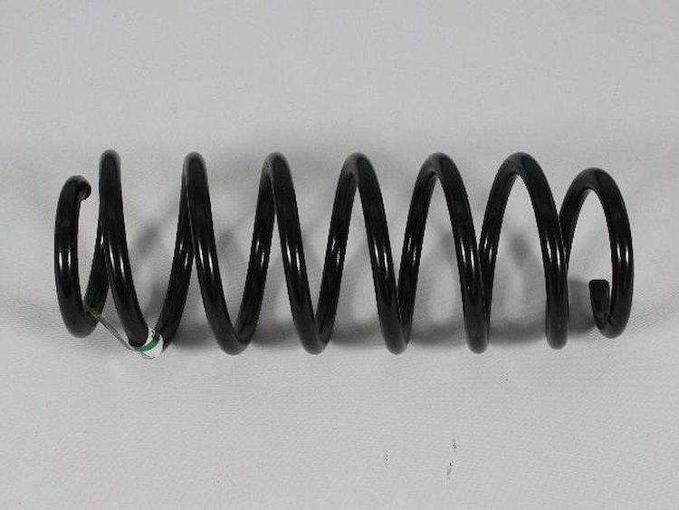 SPRING REAR COIL