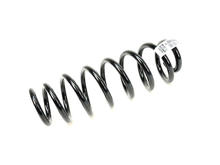 SPRING REAR COIL