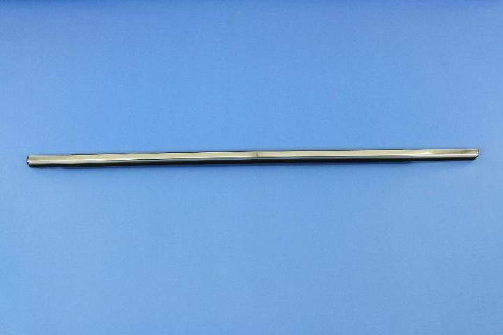 W/STRIP REAR DOOR BELT