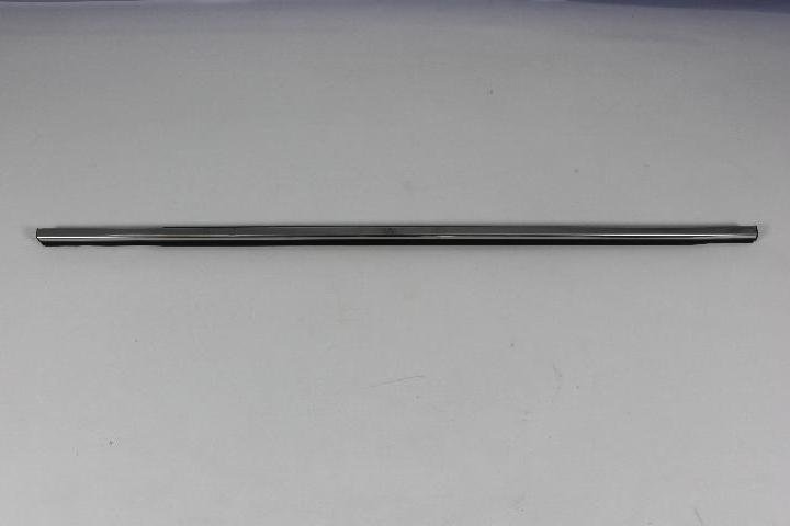 W/STRIP REAR DOOR BELT