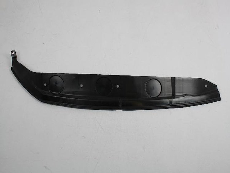 W/STRIP FRONT DOOR