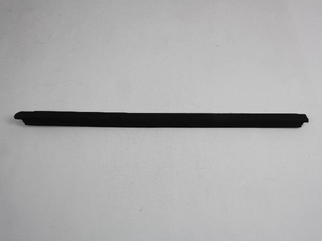 W/STRIP FRT DOOR BELT OTR