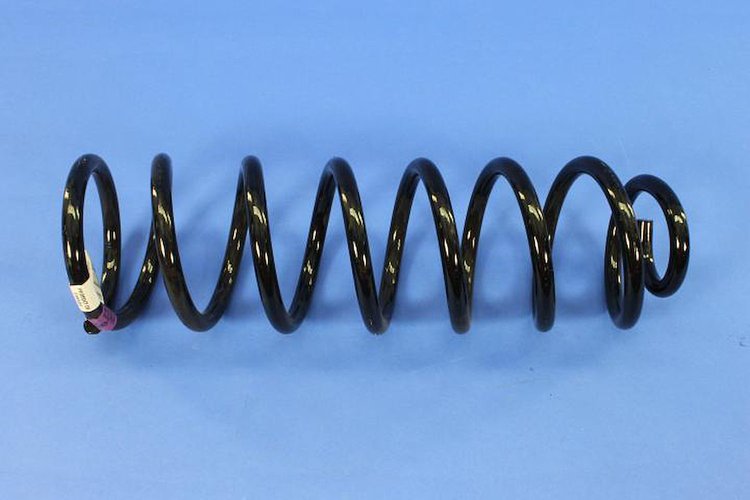 SPRING REAR COIL