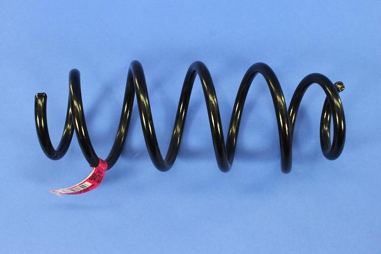 SPRING REAR COIL