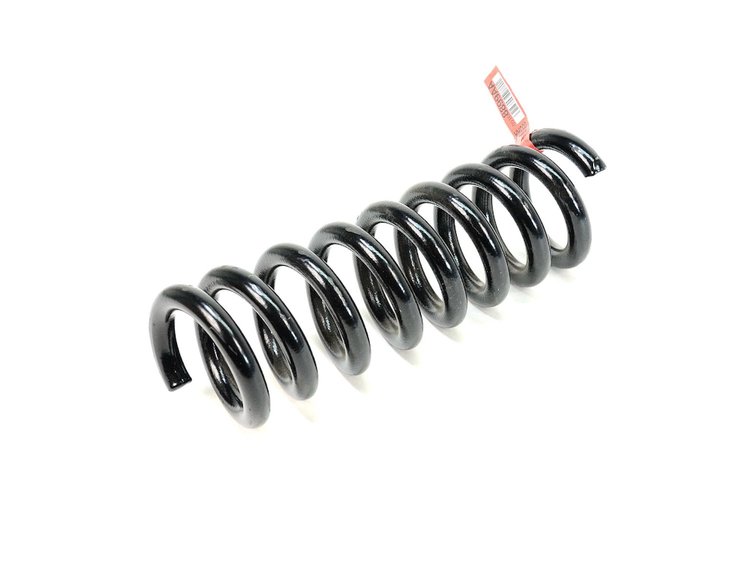 SPRING REAR COIL