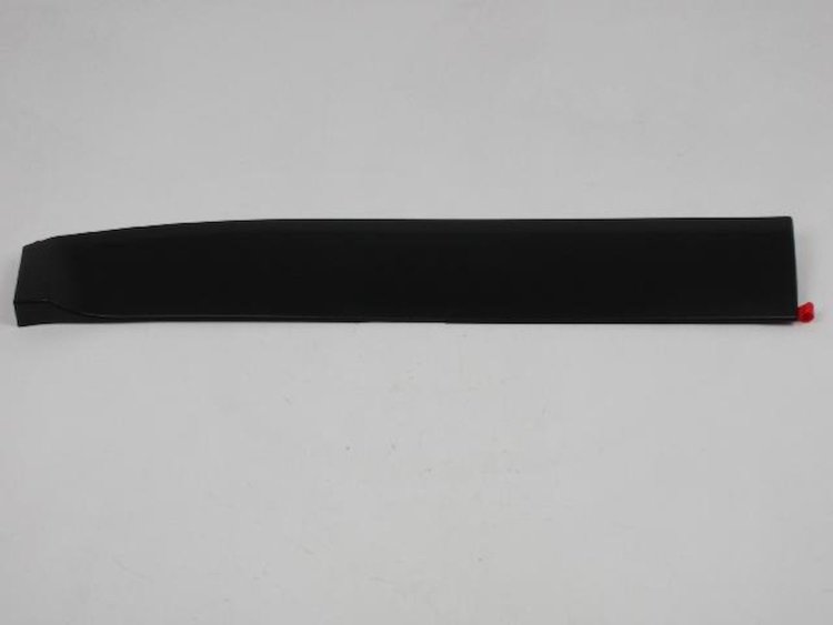 MOLDING REAR DOOR