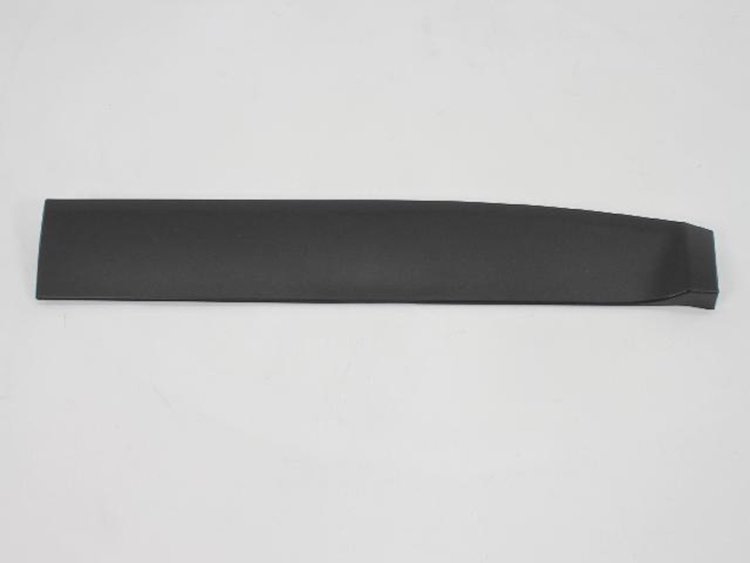MOLDING REAR DOOR